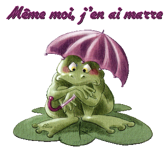 ANNULATION RANDONNÉES