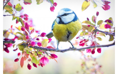 CHANGEMENT HORAIRE RANDO 10 Km